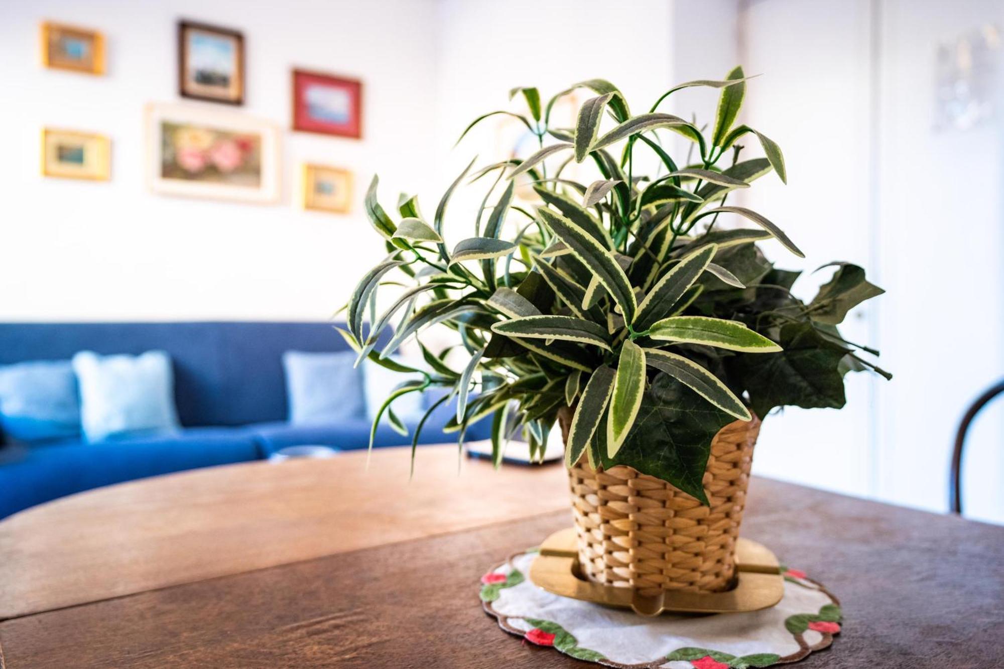 Stefania Flat - Amalfi Center Apartment Luaran gambar